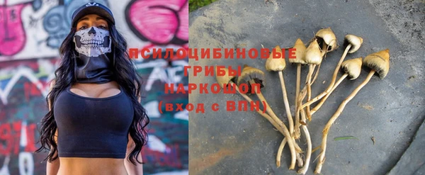 молекула духа Алексеевка