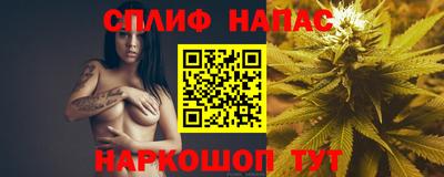 гашик Ирбит